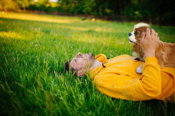 Momenti indimenticabili con un amico come il cavalier king charles