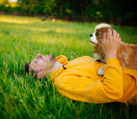 dai bambini agli adulti il carattere del cavalier king charles conquista tutti