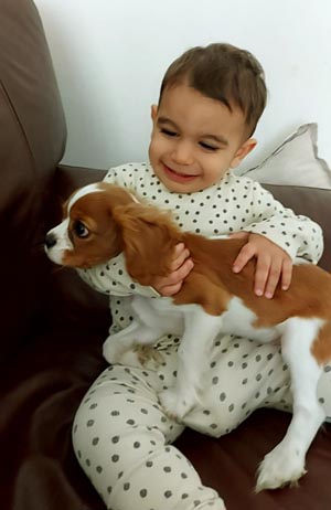 Bimbo con un cucciolo di razza cavalier king charlesspaniel